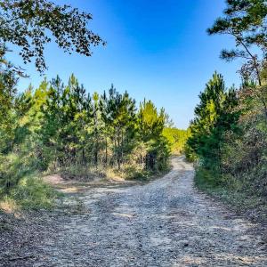Photo #87 of Womack Rd. , Broadway, NC 715.9 acres