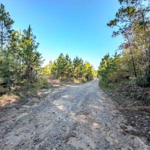Photo #88 of Womack Rd. , Broadway, NC 715.9 acres