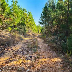 Photo #91 of Womack Rd. , Broadway, NC 715.9 acres