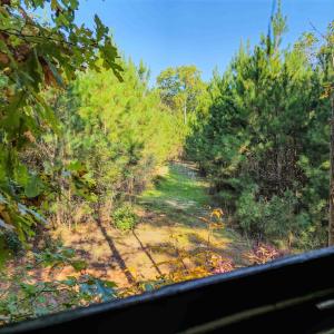 Photo #93 of Womack Rd. , Broadway, NC 715.9 acres