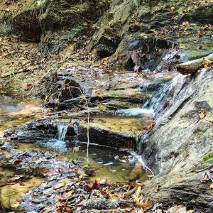 Photo #95 of Womack Rd. , Broadway, NC 715.9 acres