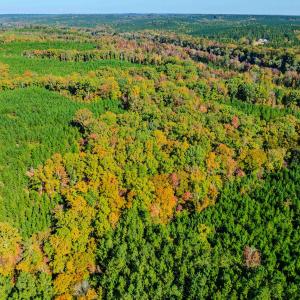 Photo #97 of Womack Rd. , Broadway, NC 715.9 acres