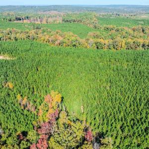 Photo #98 of Womack Rd. , Broadway, NC 715.9 acres