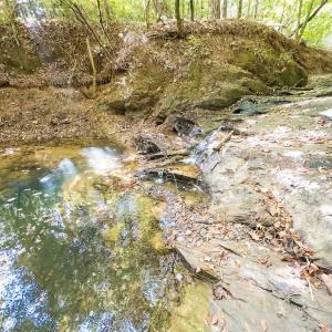Photo #99 of Womack Rd. , Broadway, NC 715.9 acres