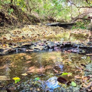 Photo #100 of Womack Rd. , Broadway, NC 715.9 acres