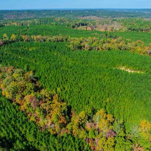 Photo #103 of Womack Rd. , Broadway, NC 715.9 acres