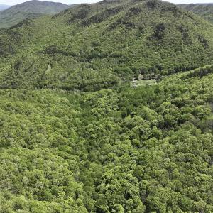 Photo #4 of 8106 Rich Patch Rd, Covington, VA 40.9 acres