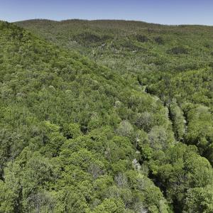 Photo #5 of 8106 Rich Patch Rd, Covington, VA 40.9 acres