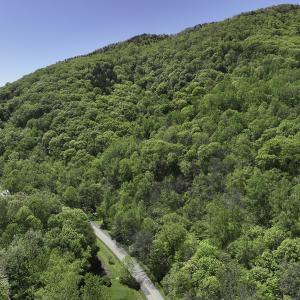 Photo #7 of 8106 Rich Patch Rd, Covington, VA 40.9 acres
