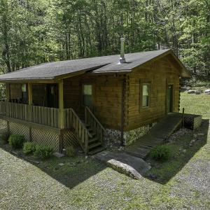 Photo #9 of 8106 Rich Patch Rd, Covington, VA 40.9 acres