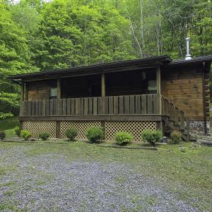 Photo #10 of 8106 Rich Patch Rd, Covington, VA 40.9 acres