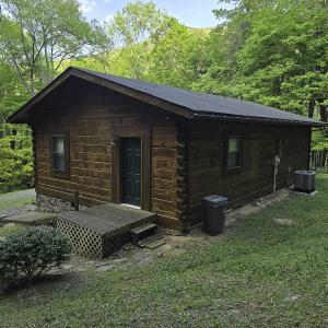 Photo #11 of 8106 Rich Patch Rd, Covington, VA 40.9 acres