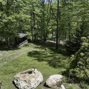 Photo #33 of 8106 Rich Patch Rd, Covington, VA 40.9 acres