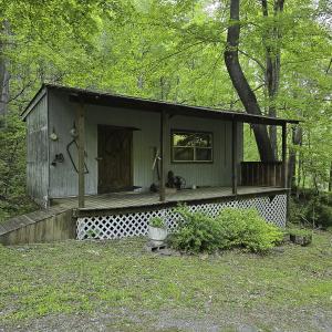 Photo #34 of 8106 Rich Patch Rd, Covington, VA 40.9 acres