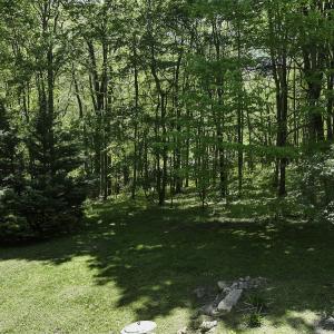 Photo #35 of 8106 Rich Patch Rd, Covington, VA 40.9 acres