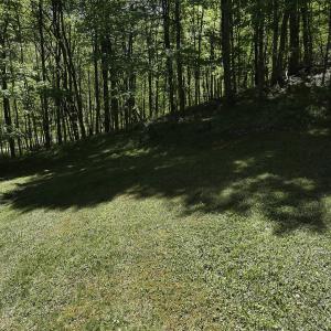 Photo #36 of 8106 Rich Patch Rd, Covington, VA 40.9 acres