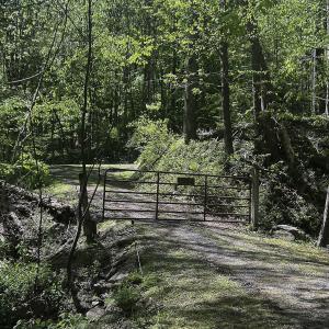 Photo #37 of 8106 Rich Patch Rd, Covington, VA 40.9 acres