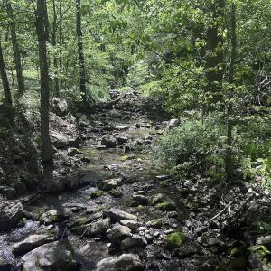Photo #38 of 8106 Rich Patch Rd, Covington, VA 40.9 acres