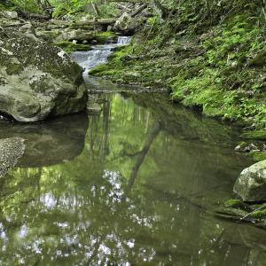 Photo #55 of 8106 Rich Patch Rd, Covington, VA 40.9 acres