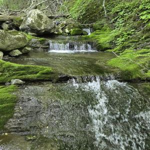 Photo #56 of 8106 Rich Patch Rd, Covington, VA 40.9 acres