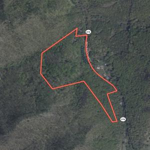 Photo #60 of 8106 Rich Patch Rd, Covington, VA 40.9 acres