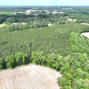 Photo #11 of Off Eds Grocery Road, Williamston, NC 17.2 acres