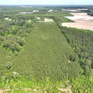 Photo #12 of Off Eds Grocery Road, Williamston, NC 17.2 acres