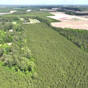Photo #13 of Off Eds Grocery Road, Williamston, NC 17.2 acres