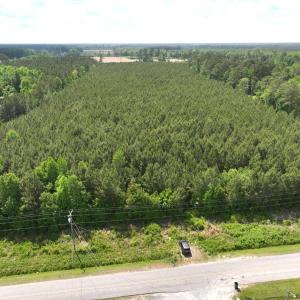 Photo #16 of Off Eds Grocery Road, Williamston, NC 17.2 acres