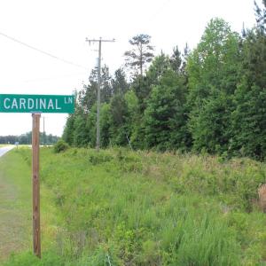Photo #18 of Off Eds Grocery Road, Williamston, NC 17.2 acres
