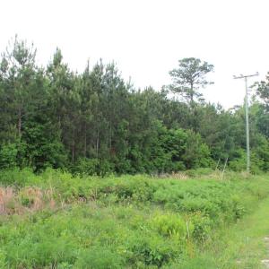 Photo #19 of Off Eds Grocery Road, Williamston, NC 17.2 acres