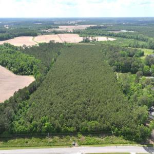 Photo #1 of Off Eds Grocery Road, Williamston, NC 17.2 acres