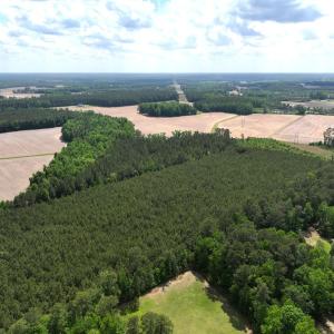 Photo #3 of Off Eds Grocery Road, Williamston, NC 17.2 acres