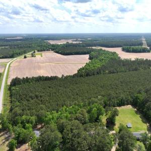 Photo #4 of Off Eds Grocery Road, Williamston, NC 17.2 acres