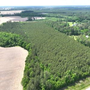 Photo #6 of Off Eds Grocery Road, Williamston, NC 17.2 acres