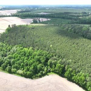 Photo #7 of Off Eds Grocery Road, Williamston, NC 17.2 acres