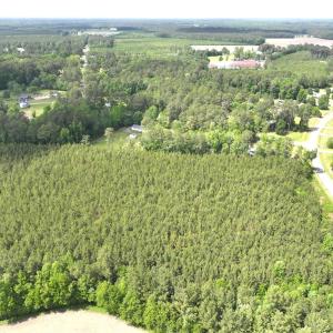 Photo #8 of Off Eds Grocery Road, Williamston, NC 17.2 acres
