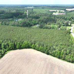 Photo #9 of Off Eds Grocery Road, Williamston, NC 17.2 acres
