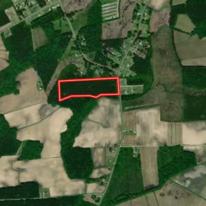 Photo #21 of Off Eds Grocery Road, Williamston, NC 17.2 acres