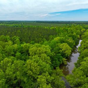 Photo #10 of Off Western Mill Rd, Lawrenceville, VA 207.9 acres