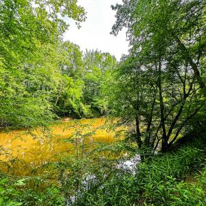Photo #11 of Off Western Mill Rd, Lawrenceville, VA 207.9 acres