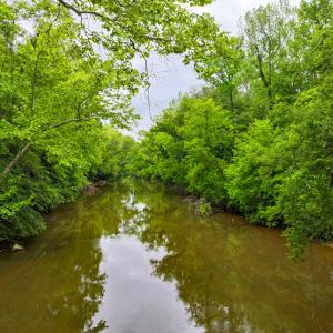 Photo #12 of Off Western Mill Rd, Lawrenceville, VA 207.9 acres
