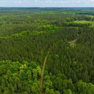 Photo #13 of Off Western Mill Rd, Lawrenceville, VA 207.9 acres