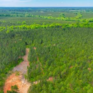 Photo #16 of Off Western Mill Rd, Lawrenceville, VA 207.9 acres