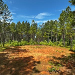 Photo #17 of Off Western Mill Rd, Lawrenceville, VA 207.9 acres