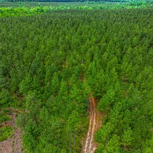 Photo #20 of Off Western Mill Rd, Lawrenceville, VA 207.9 acres