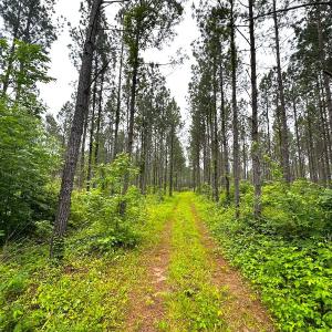 Photo #21 of Off Western Mill Rd, Lawrenceville, VA 207.9 acres