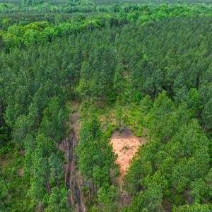 Photo #26 of Off Western Mill Rd, Lawrenceville, VA 207.9 acres