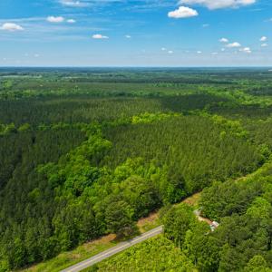 Photo #3 of Off Western Mill Rd, Lawrenceville, VA 207.9 acres