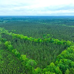 Photo #30 of Off Western Mill Rd, Lawrenceville, VA 207.9 acres
